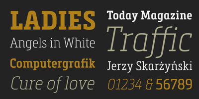 Font visual image of Metronic Slab Narrow