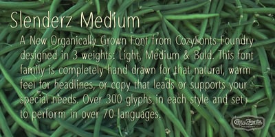 Font visual image of Slenderz