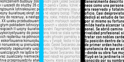 Font visual image of Borba