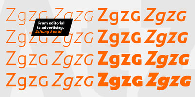 Font visual image of Zeitung Pro