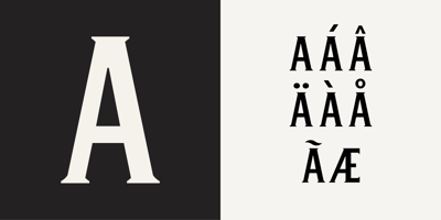 Font visual image of Winston & Winston Sans