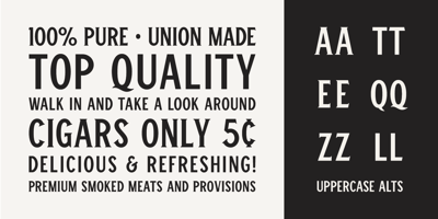 Font visual image of Winston & Winston Sans