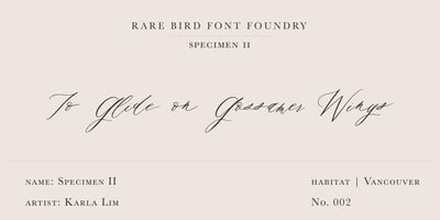 Font