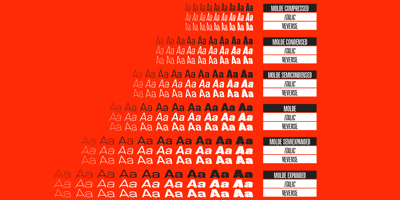 Font visual image of Molde