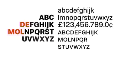 Font visual image of Molde