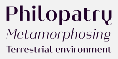 Font visual image of Heimat&trade; Display
