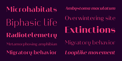 Font visual image of Heimat&trade; Display