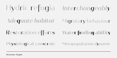Font visual image of Heimat&trade; Display