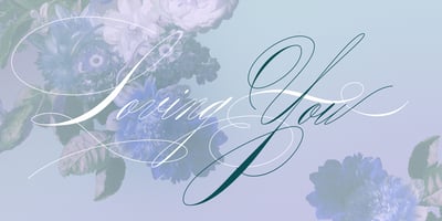 Font visual image of Rapid Writing