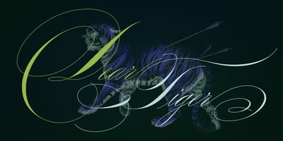 Font visual image of Rapid Writing