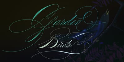 Font visual image of Rapid Writing