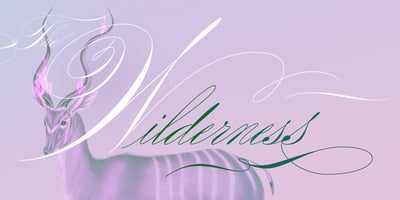 Font visual image of Rapid Writing
