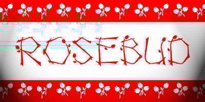 Font visual image of Rosebud