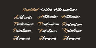 Font visual image of Pintenium Script