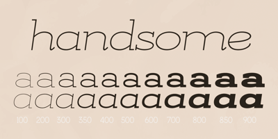 Font visual image of Kate Slab Pro Ultra Expanded