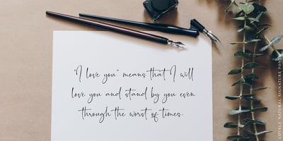 Font visual image of Romantically