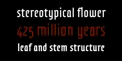 Font visual image of Adso