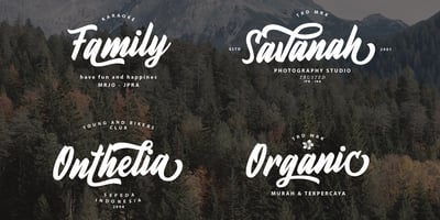 Font visual image of Fineberg