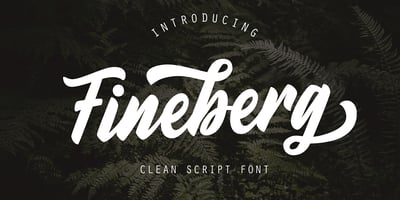 Font visual image of Fineberg