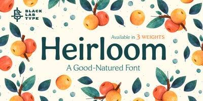 Font visual image of BLT Heirloom