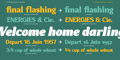 Font visual image of Convexion