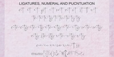 Font visual image of Gesture