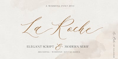 Font visual image of La Roche