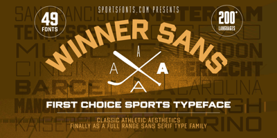 Font visual image of Winner Sans