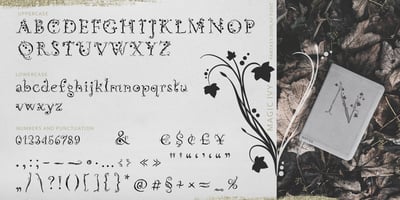 Font visual image of Magic Ivy