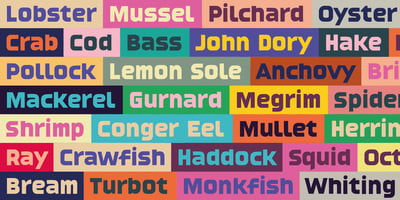 Font visual image of High Tide AT