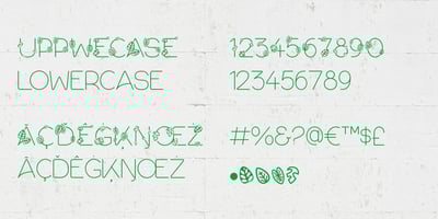 Font visual image of Dias de Follaje