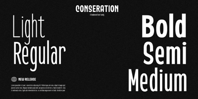 Font visual image of Conseration