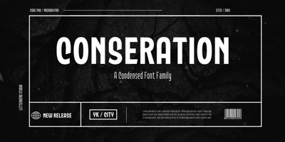 Font visual image of Conseration