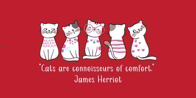 Font visual image of Beau Chat