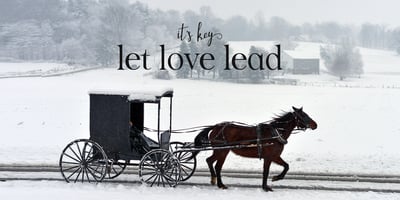 Font visual image of Wapstina Love