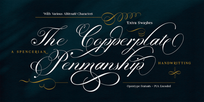 Font visual image of Prestissimo Classy