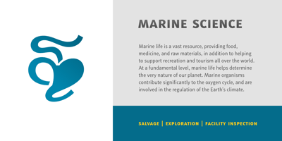 Font visual image of Submariner