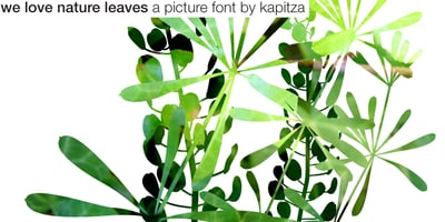 Font visual image of We Love Nature&trade; Leaves