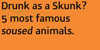 Font visual image of Humanex