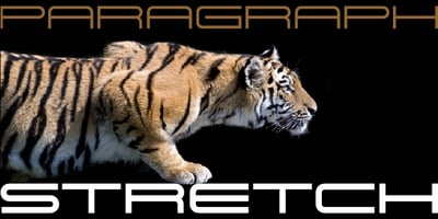 Font visual image of Paragraph Stretch&trade;