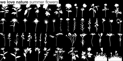 Font visual image of We Love Nature&trade; Summer Flowers