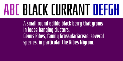 Font visual image of Black Currant