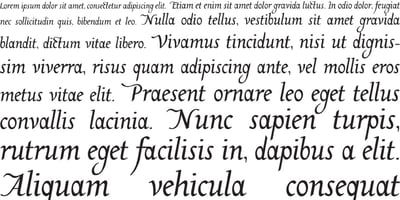 font