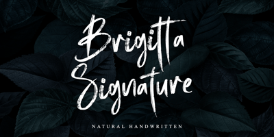 Font visual image of Brigitta Signature