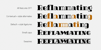 Font visual image of Hazelnut Pro