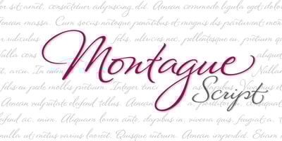 Font visual image of Montague Script