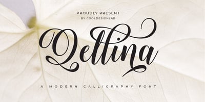 Font visual image of Qellina