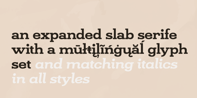 Font visual image of Kate Slab Pro Expanded