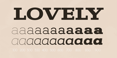 Font visual image of Kate Slab Pro Expanded