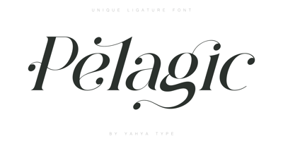 Font visual image of Pelagic Bird